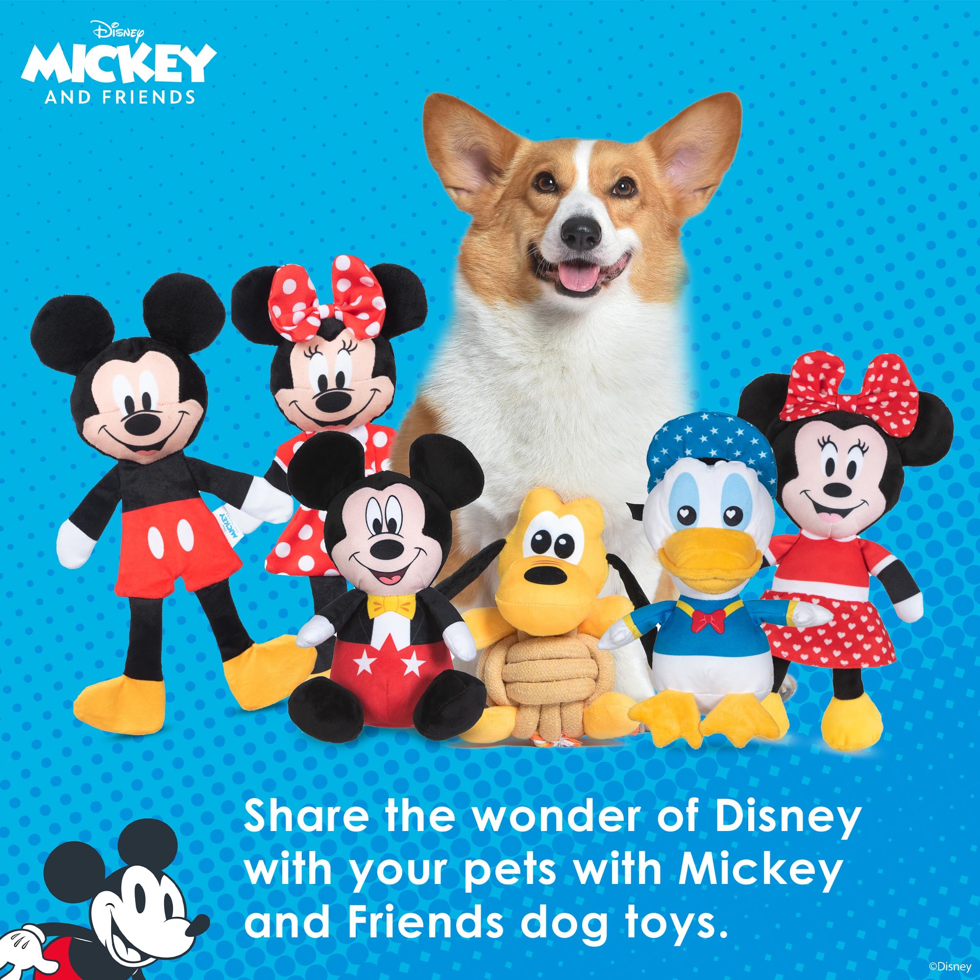 Amazon.com: Disney for Pets Mickey Mouse Plush Squeaker with
